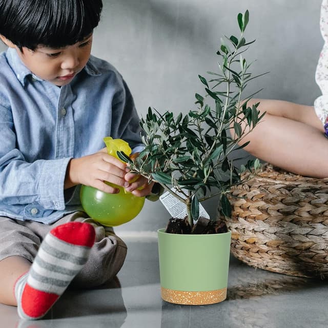 Detalle de 12.7cm QCQHDU plant pot for drainage