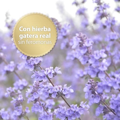 Detalle 2 de Felisept Home Comfort set difusor y recambio 45 ml 🐱