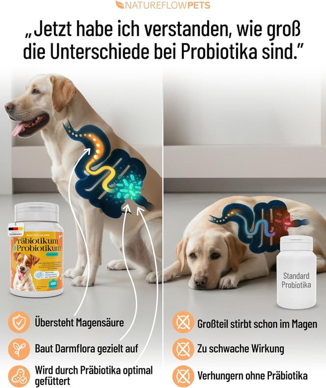 Thumbnail 1 de Natureflow Pets Probiotika Hund 670 Milliarden KBE