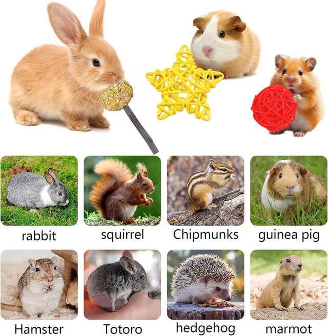 Thumbnail 2 de Qunkun 9 Stück Kaninchen Kauspielzeug