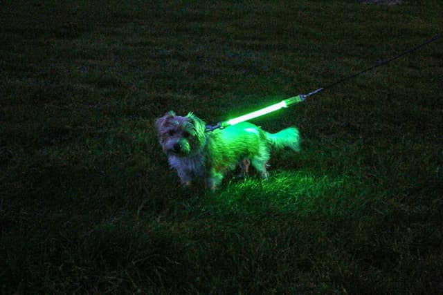 Detalle 2 de Ancol USB Hi-Vis Flashing Lead Attachment (Yellow) for safer night walks