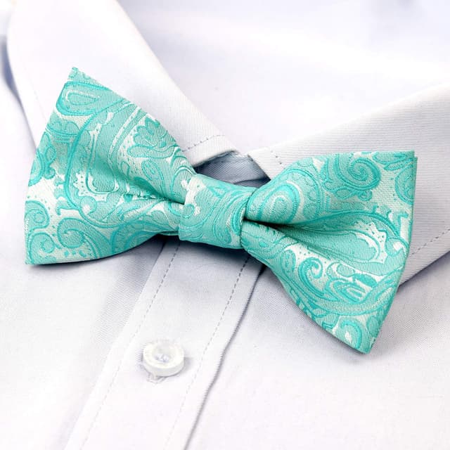 Detalle de Alizeal Banded Adjustable Length Pre-tied Boy’s Bow Tie (Birthday Party & more)