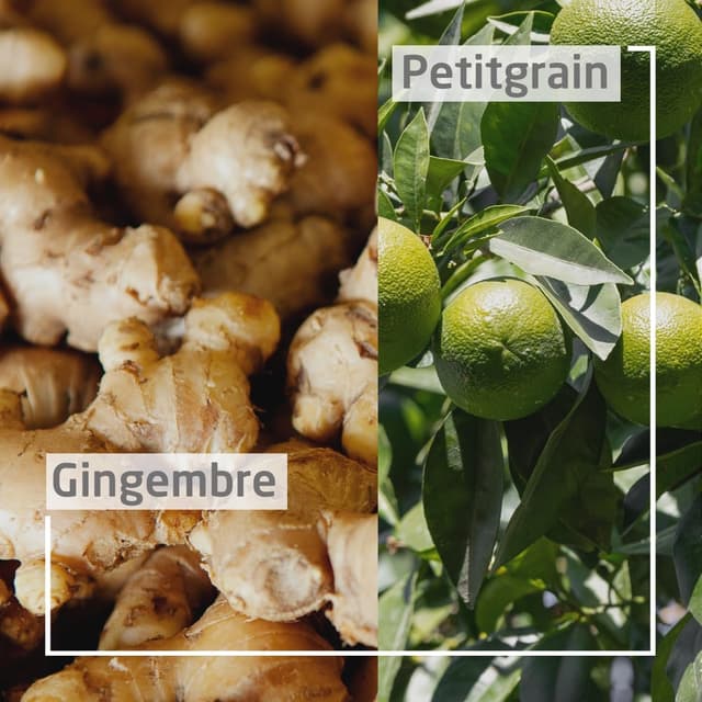 Thumbnail 3 de Weleda Pain de douche 75g