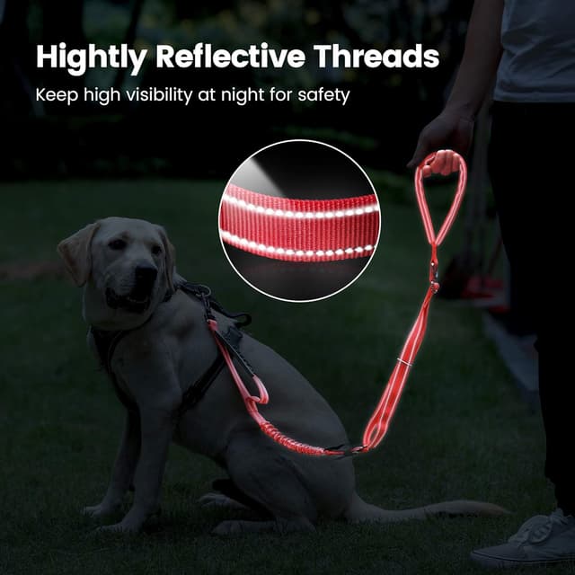 Thumbnail 3 de IOKHEIRA Red Zinc Alloy Dog Lead