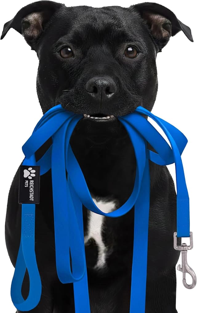 Detalle de Reichstadt Pets guinzaglio robusto in PVC per cani impermeabile con moschettone inox girevole 360° Blue, 5 m