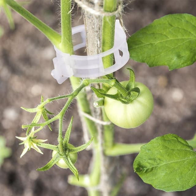 Detalle de KINGLAKE 200er Pflanzenclips für Tomaten & Gurken – Tomatenklammern als Rankhilfe