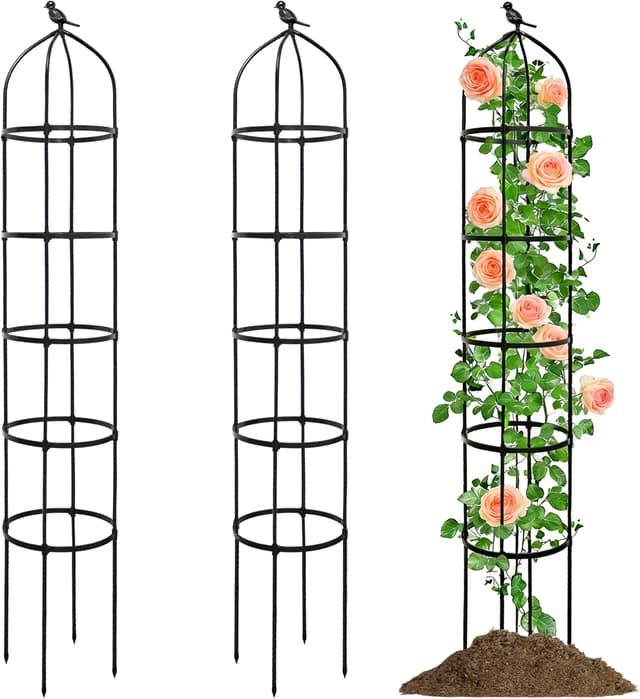 Detalle de Rustproof 205cm obelisk trellis for climbers