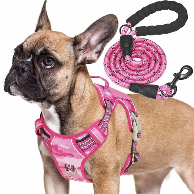 Thumbnail 6 de Haapaw Heavy Duty taktisches Hundegeschirr für große Hunde – verstellbar mit Molle-System