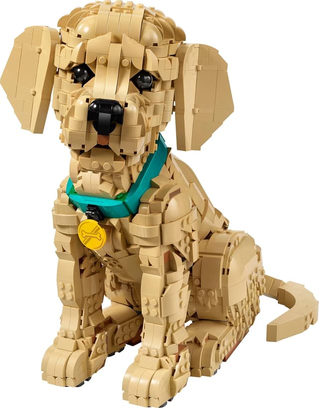 Detalle 2 de LEGO Icons 11384 Golden Retriever Welpe – 3D-Modellbau für Erwachsene mit beweglichen Teilen