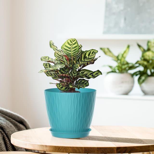 Thumbnail 6 de Homeuouz 15cm Plastic Plant Pots Indoor, 5 Pack with Drainage Holes & Tray (Multicolour)