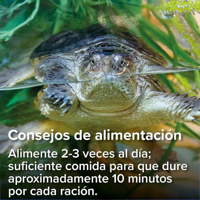 Thumbnail 5 de King British Alimento completo para tortugas 200 g 🐢