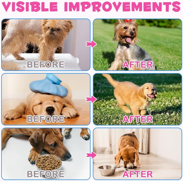 Thumbnail 3 de Frovetani Collagène liquide pour chiens