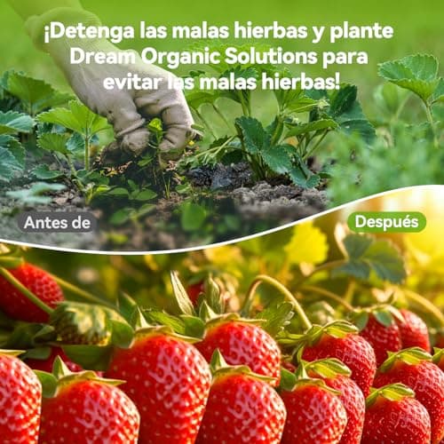 Thumbnail 5 de iropro Malla Antihierbas 2m x 50m