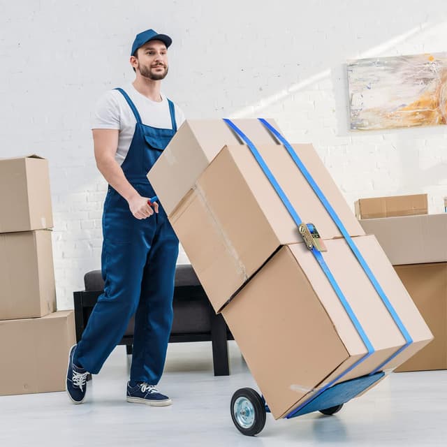 Detalle de TLGREEN Confezione da 10 cinghie di ancoraggio con cricchetto da 6 m (25 mm), portata 800 kg, blu