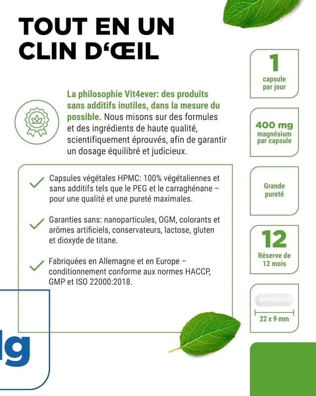 Detalle 2 de Vit4ever Magnésium à haute dose – 365 gélules (réserve annuelle) : 400 mg de magnésium élémentaire