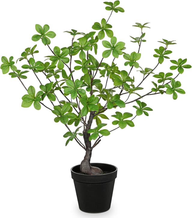 Imagen de Arborus Enkianthus Kunstpflanze 55 cm en OfertitasTOP