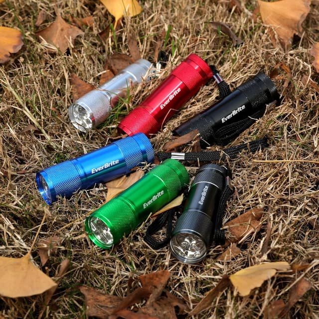 Thumbnail 4 de EverBrite 18-Pack LED Mini Pocket Torch keyring lights 🔦
