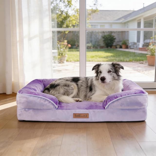 Detalle de BELLA & PAL Orthopaedic Dog Bed (Dog Sofa) with 8cm Egg Foam Mattress, Removable Washable Cover & Waterproof Liner, 92x69x16.5cm