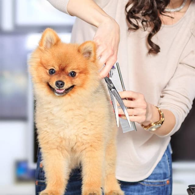 Thumbnail 5 de Dream Reach Fellschere 6,5" gebogen – Hundeschere für Pflege ✂