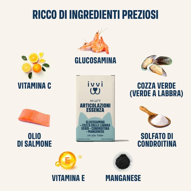 Detalle de ivvi Articolazioni Essenza per Gatti – crema funzionale umida con glucosamina, condroitina, cozza verde e olio di salmone (30x15g)