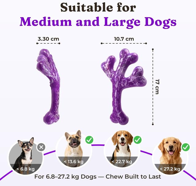 Thumbnail 5 de ChienBox Jouet Chien Indestructible 2 pièces