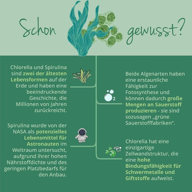 Thumbnail 5 de Vegavero Bio Spirulina Chlorella 240 Kapseln