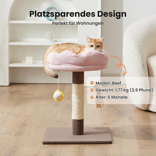 Detalle de Gardner Pet Kleiner Katzenbaum (51 cm) mit gepolsterter Plattform, geflochtenem Sisal und Plüschball