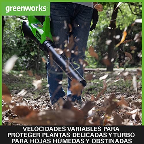 Thumbnail 4 de Greenworks G40ABK2 Soplador a batería 40V 11,05 m³/min 🍃