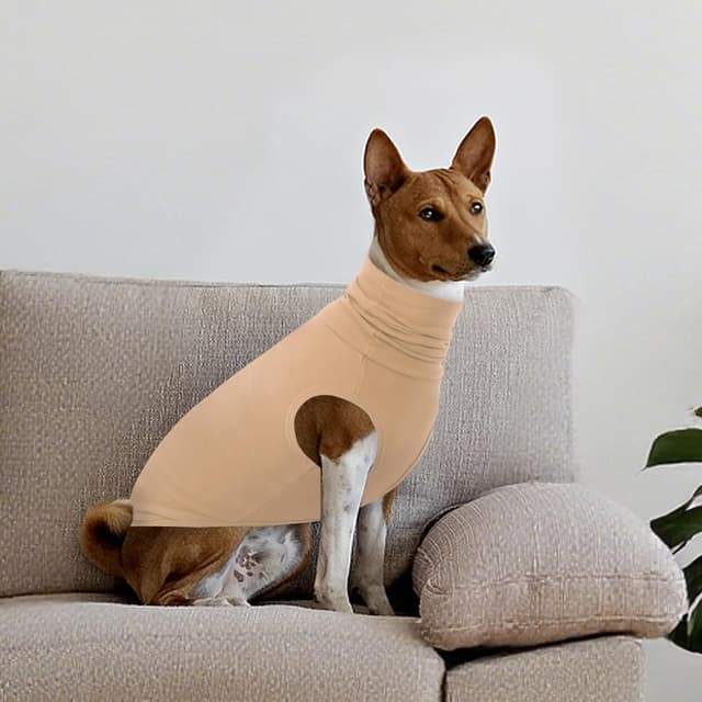 Thumbnail 6 de CITÉTOILE Hundpullover Fleece mit Rollkragen, Khaki (S) – warme Winterkleidung für kleine Hunde