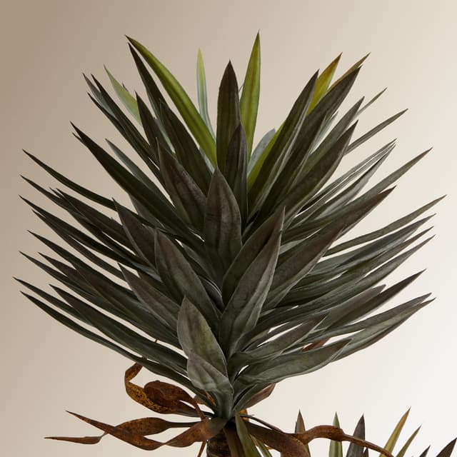 Thumbnail 1 de El Corte Inglés Árbol artificial Yuca 142 cm