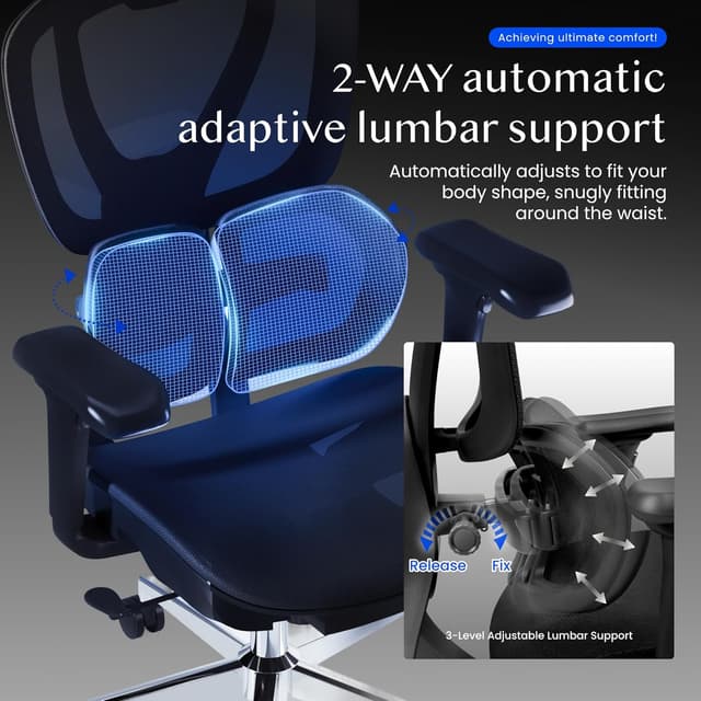 Thumbnail 6 de FLEXISPOT Sedia ergonomica da ufficio con supporto lombare Dual-Wing, poggiatesta e braccioli 3D (nero)