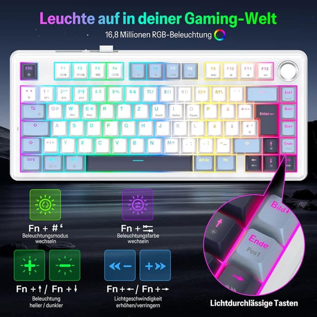 Detalle de OMOTON MK211 mechanische Tastatur 4000 mAh ⌨