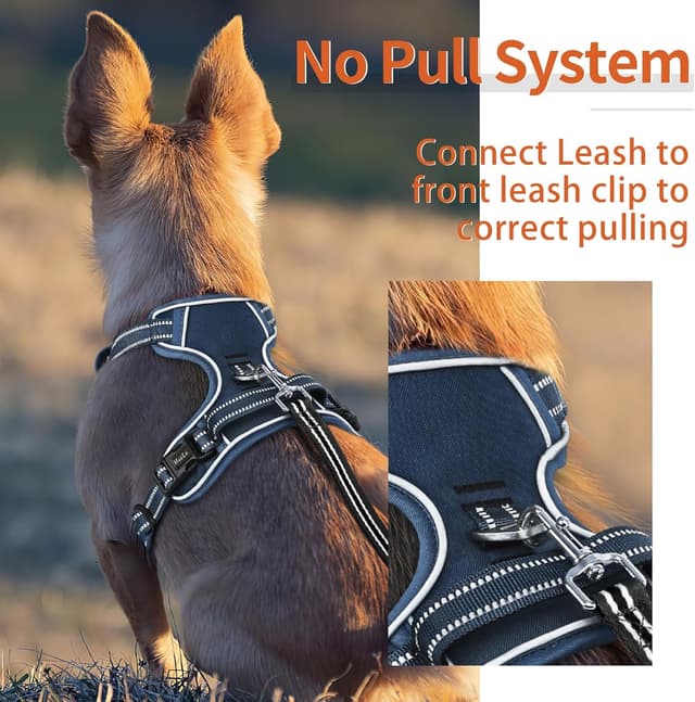 Detalle de HEELE Harnais anti-traction réfléchissant avec poignée rembourrée, 2 anneaux métal – Bleu royal (taille XS)