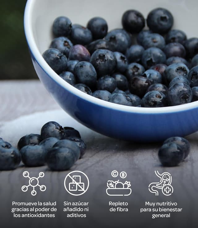 Thumbnail 4 de LOOV Polvo de Arándano Silvestre Orgánico 🍇 100g