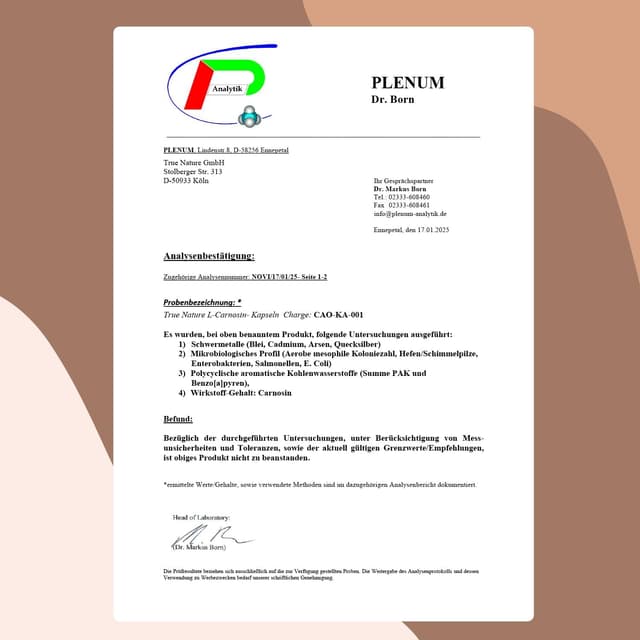 Thumbnail 6 de TRUE NATURE L-Carnosin 1.000 mg Tagesdosis – 100 vegane Kapseln (50 Tage)