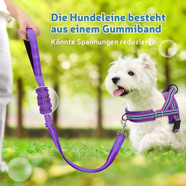 Detalle de SlowTon Hundegeschirr mit Leine – Anti-Zug Sicherheitsgeschirr mit reflektierenden Nähten