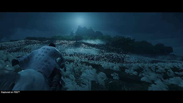 Detalle 2 de Ghost of Tsushima Director’s Cut sur PS5 (version physique CD) – Jeu de rôle RPG, en français