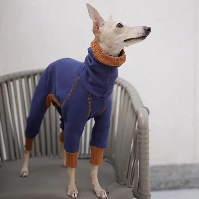 Detalle de Lightweight Italian Greyhound jumper, Blue XXL