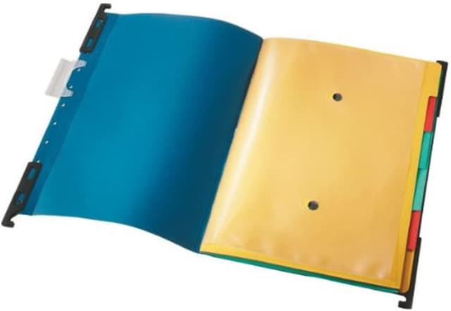 Detalle de Leitz ESSELTE 18900135 carpeta colgante A4 azul