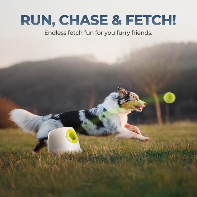 Thumbnail 4 de ALL FOR PAWS Automatic Dog Ball Launcher 40 ft