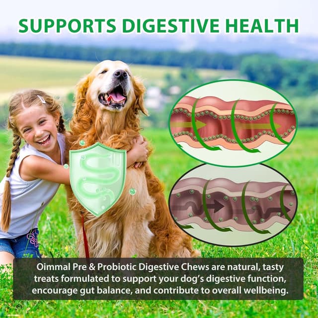 Thumbnail 5 de Bieyoc Probióticos para perros 120 Chews 🐕