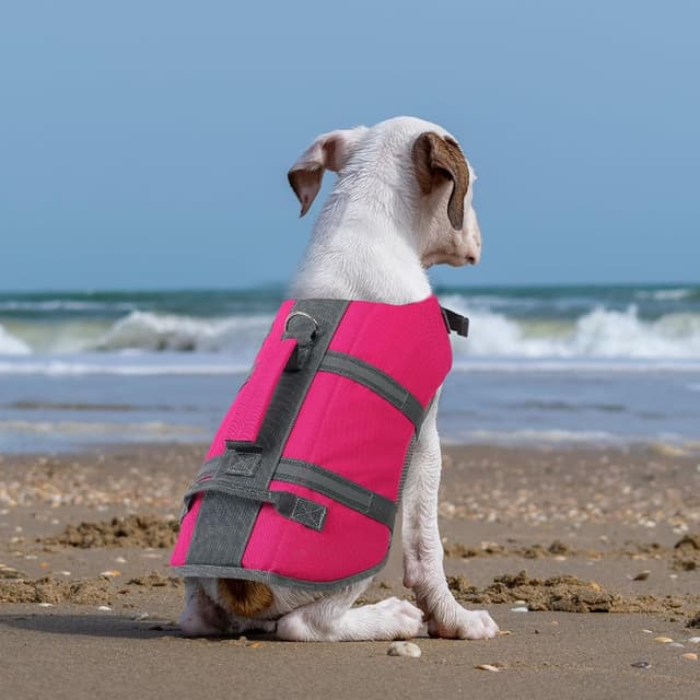 Thumbnail 6 de Queenmore Large Dog Life Vest (Reflective, Lightweight) with Rescue Handle – Fuchsia, L