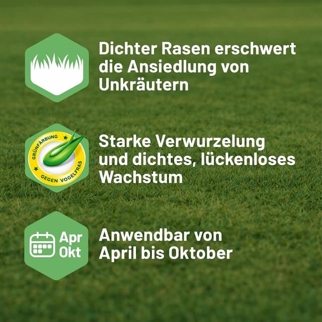 Thumbnail 4 de Substral Rasensamen Sport und Spiel 2 kg