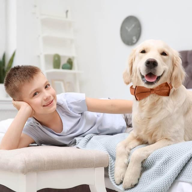 Detalle 2 de Velvet Dog Collar with Bow 4 sizes