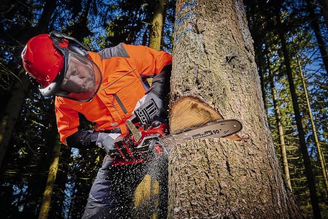 Detalle 2 de Einhell Professional GP-LC 36/35 Tronçonneuse sans fil 36V 33 cm ⛏