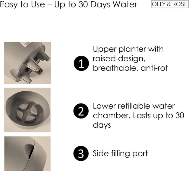 Thumbnail 4 de Olly & Rose San Marino Lazy Planters 25cm