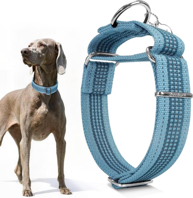 Thumbnail 6 de Dazzber 1.5" Martingale Dog Collar (Escape-Proof, Anti-Slip) in Olive Green & Charcoal, Large