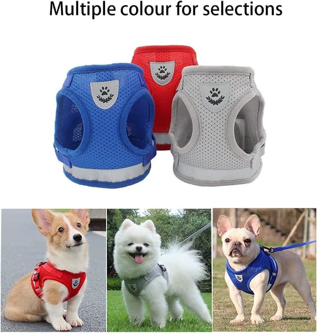 Detalle de DARENYI Small Dog Harness and Lead (Adjustable, Breathable, Reflective) in Blue – Small