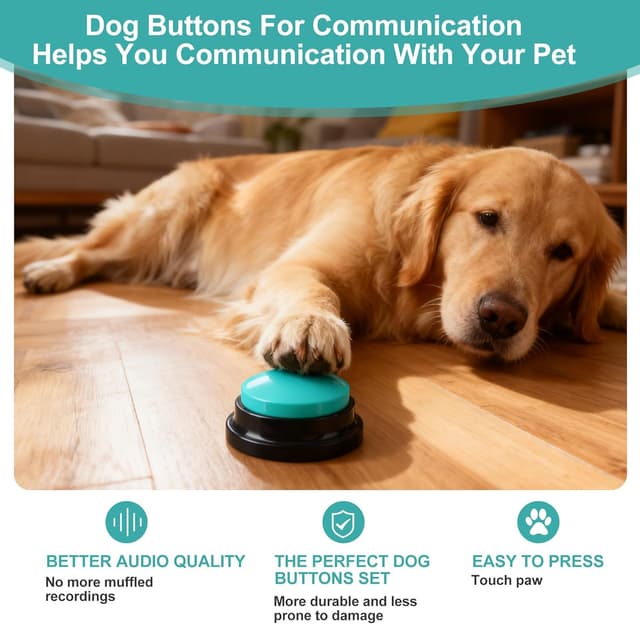 Detalle 1 de BUCOMTU Buzzer Training mit Aufnahmefunktion