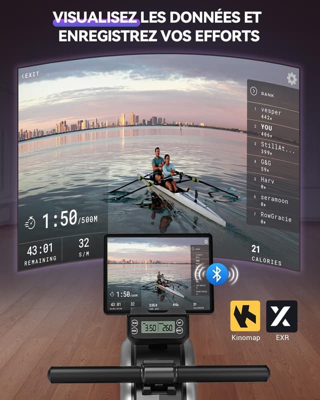 Thumbnail 3 de DMASUN Rameur Musculation 16 Niveaux Magnétique